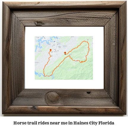 horse trail rides near me in Haines City, Florida